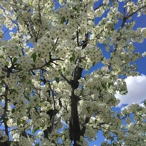 FREE Goody With Each Purchase!!